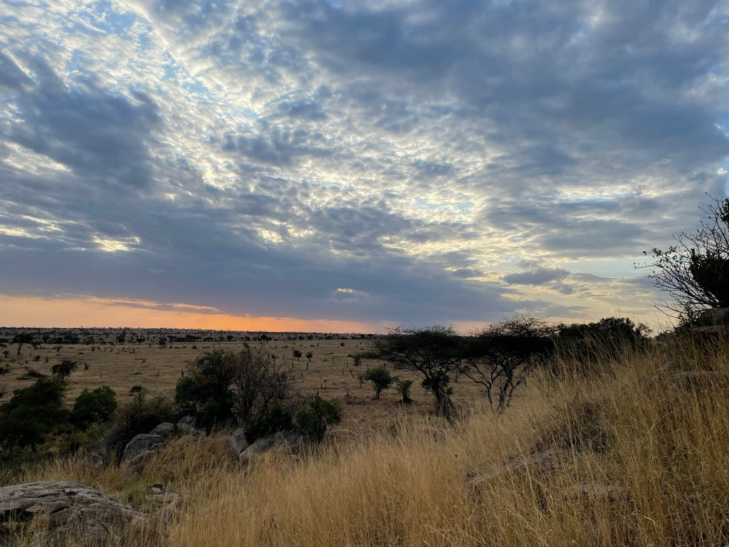 AGNIESZKA’S BEST TRAVEL HACKS FOR THE ULTIMATE SAFARI EXPERIENCE